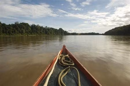 Khám phá sông Bajo Madre de Dios ở Peru bằng xuồng máy để tận hưởng cảm giác sông nước huyền bí