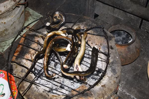 Rắn nướng ở Cà Mau