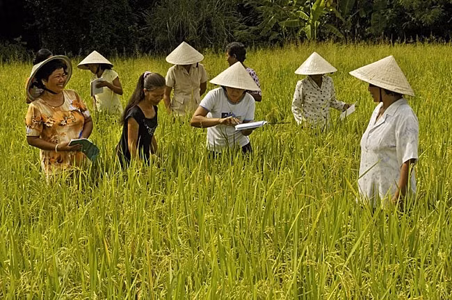 Ảnh minh họa Ảnh minh họa