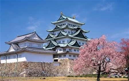 Nagoya, Nhật Bản, Mức giá cao hơn so với trung bình thế giới: 20,5%. Bữa ăn trưa nhanh: 19 USD 1kg gạo: 8,5 USD
