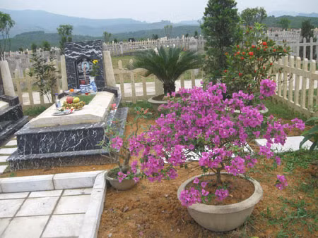 Ngoài ra, dịch vụ thuê người chăm sóc phần mộ thay người thân của những khuôn viên mộ dành cho đại gia cũng lên đến cả trăm triệu đồng. Ngoài ra, dịch vụ thuê người chăm sóc phần mộ thay người thân của những khuôn viên mộ dành cho đại gia cũng lên đến cả trăm triệu đồng.