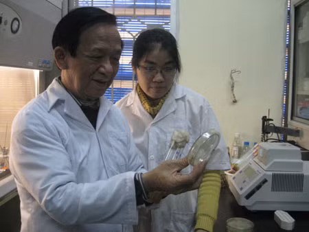 Giáo sư Nguyễn Lân Dũng trong buổi giảng thực hành cho sinh viên Giáo sư Nguyễn Lân Dũng trong buổi giảng thực hành cho sinh viên