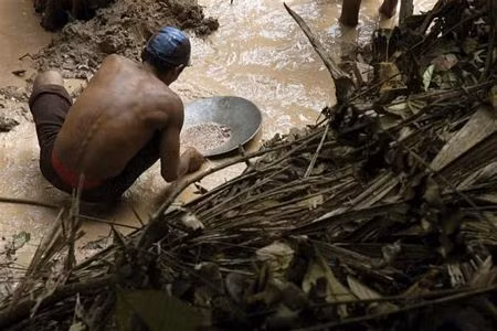 Một thợ đãi vàng tại Novo Aripuana, Brazil.