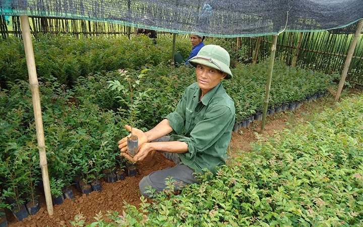 Ảnh minh hoạ: Đỗ Hương/Báo Chính phủ