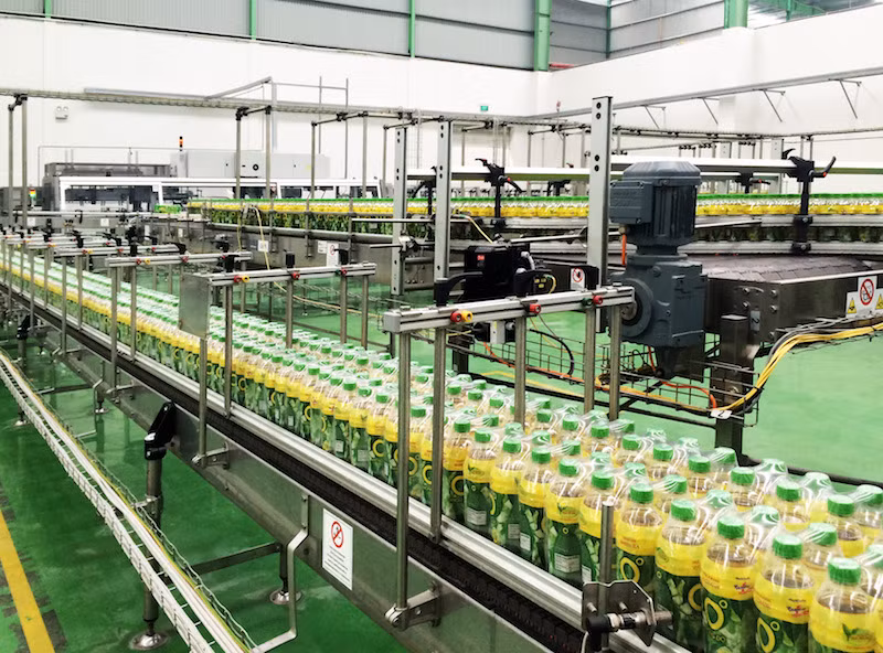 Trà Xanh Không Độ sản xuất trên dây chuyền công nghệ hiện đại, giúp giữ lại tối đa hàm lượng EGCG.