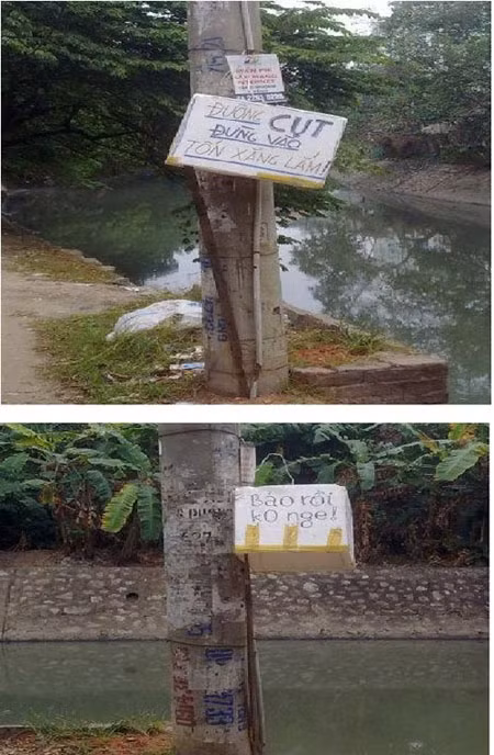 Đừng đi vào ngõ cụt!