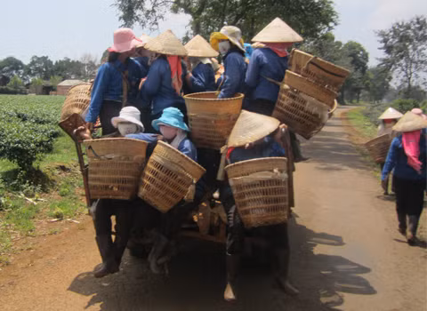 Công nông chở rất là nhiều người, chụp tại Gia Nghĩa, Đăk Nông. Ảnh: Nguyễn Trọng Toán Công nông chở rất là nhiều người, chụp tại Gia Nghĩa, Đăk Nông. Ảnh: Nguyễn Trọng Toán