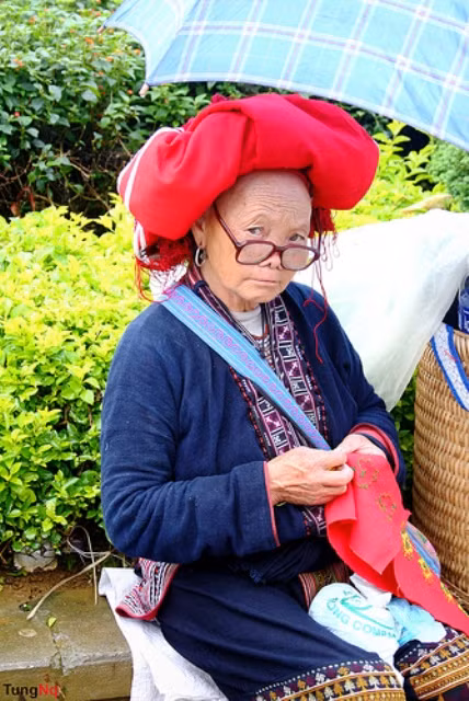 Đường kim Đường kim