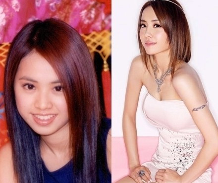 Sau khi nổi tiếng, Thái Y Lâm đã chọn hình tượng sexy để gắn với tên tuổi của mình.