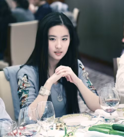 Tuy sở hữu một vẻ đẹp mỹ miều trời ban, nhưng cũng phải nhờ đến người cha đỡ đầu của mình là ông Trần Kim Phi, Tổng giám đốc Tập đoàn đầu tư Thông Sản Bắc Kinh nâng đỡ sau một thời gian để cô chính thức bước vào hàng ngũ ngôi sao nổi tiếng.