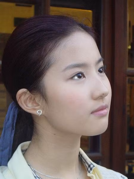 Lưu Diệc Phi với tên thật là Lưu Tây Mĩ Tử, sinh năm 1987, cha xuất thân trong một gia đình cán bộ cao cấp, mẹ là nghệ sĩ múa.