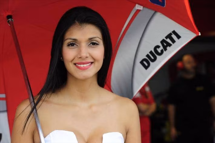 Những bông hồng rạng người bên đường đua MotoGP Aragón, Đông Bắc Tây Ban Nha Những bông hồng rạng người bên đường đua MotoGP Aragón, Đông Bắc Tây Ban Nha