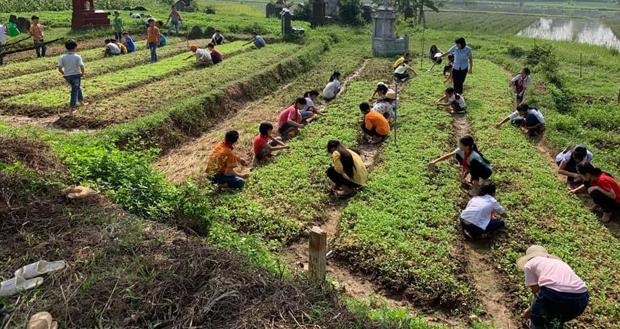 Vườn rau em chăm, là mô hình để các em vừa học tập vừa sản xuất (ảnh do nhân vật cung cấp).
