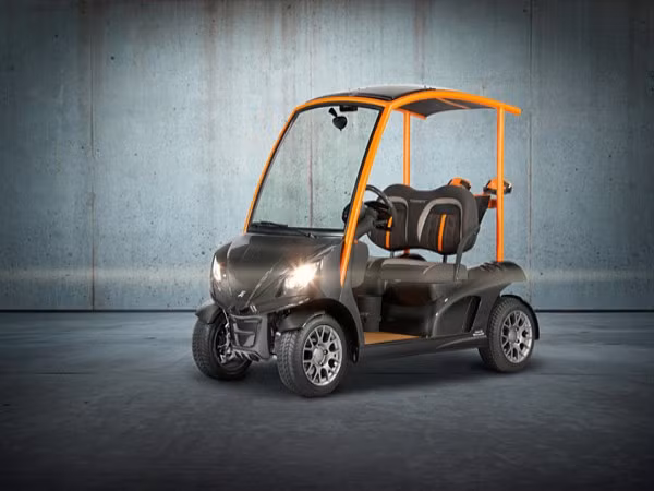 Garia Mansory Edition Đây là mẫu xe golf chạy bằng điện sang trọng nhất thế giới. Nó là kết quả của sự hợp tác giữa hai hãng Garia và Mansory. Chiếc xe được trang bị các tính năng tùy chỉnh, ván sàn bằng gỗ tếch, nội thất da không thấm nước và một hệ thống âm thanh stereo hiện đại.