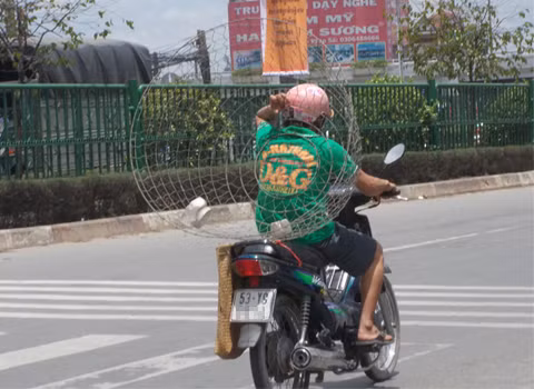 Chụp tại quốc lộ 1A. Ảnh: Trần Thị Hạnh Chụp tại quốc lộ 1A. Ảnh: Trần Thị Hạnh