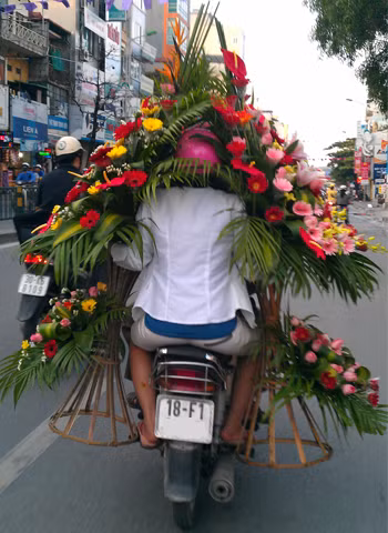 Cải trang...