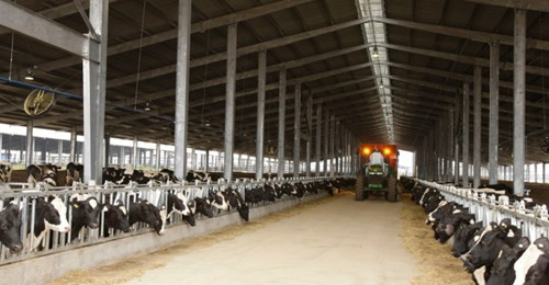 Một góc trang trại chăn nuôi bò sữa theo công nghệ cao của Tập đoàn TH tại tỉnh Nghệ An. Một góc trang trại chăn nuôi bò sữa theo công nghệ cao của Tập đoàn TH tại tỉnh Nghệ An.