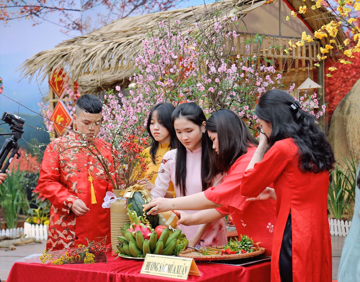 GDVN_tcd-chao-xuan-5.jpg