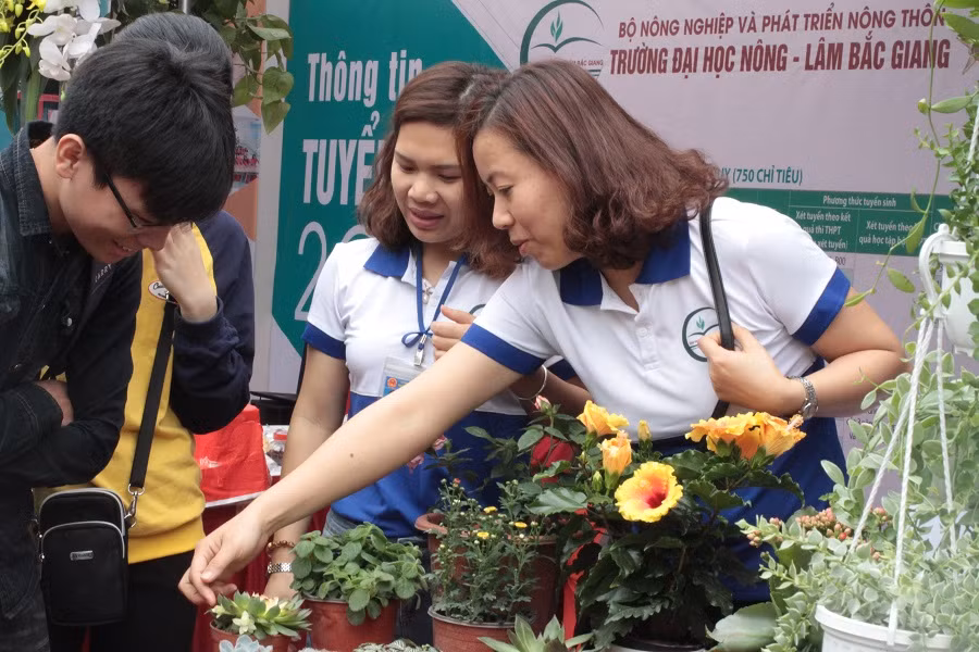 Bộ Giáo dục yêu cầu xây dựng các chuyên đề khởi nghiệp đưa vào chương trình đào tạo theo hướng bắt buộc hoặc tự chọn phù hợp với thực tiễn của nhà trường. (Ảnh minh họa: Linh Anh)