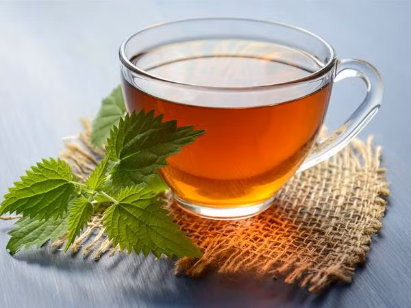 Trà xanh có tác dụng giúp quản lý lượng đường trong máu (Ảnh: theo boldsky). Trà xanh có tác dụng giúp quản lý lượng đường trong máu (Ảnh: theo boldsky).
