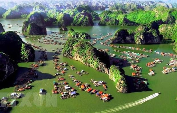 Ảnh minh họa (Nguồn: AFP/TTXVN) Ảnh minh họa (Nguồn: AFP/TTXVN)