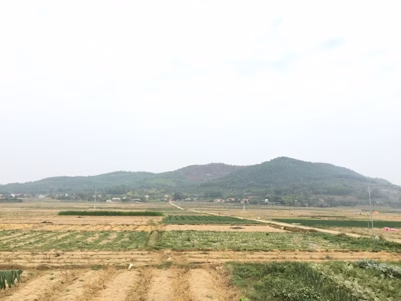 Người dân Bắc Giang mất ăn, mất ngủ vì siêu nghĩa trang An Phúc Viên ảnh 6