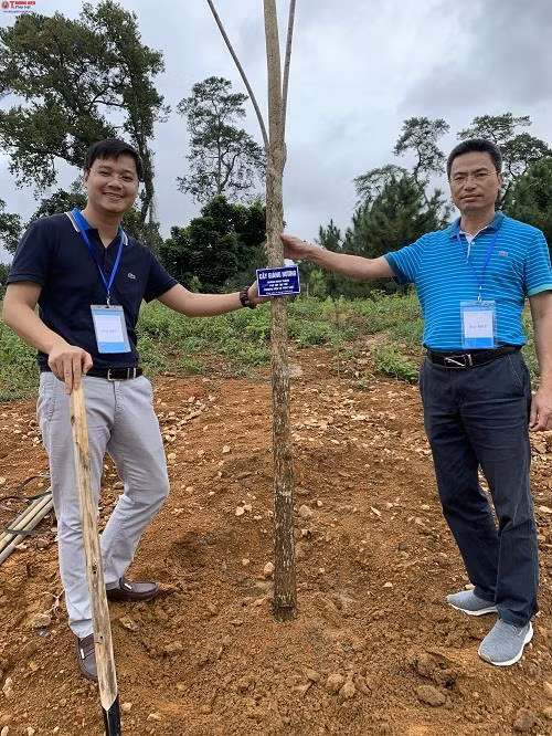 Được biết, đây là hoạt động ý nghĩa và có giá trị nhân dịp Lễ trồng cây thực hiện 50 năm di chúc của Chủ tịch Hồ Chí Minh. Được biết, đây là hoạt động ý nghĩa và có giá trị nhân dịp Lễ trồng cây thực hiện 50 năm di chúc của Chủ tịch Hồ Chí Minh.