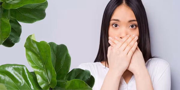 Hôi miệng khiến bạn và người đối diện cảm thấy khó chịu khi giao tiếp (Ảnh minh họa: KT/ vov.vn).