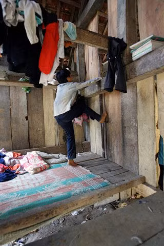 Không có bất cứ cái cầu thang hay thang nào dẫn lên các khoang trên cao, các em hoàn toàn dựa vào bản năng leo trèo trời cho. Không có bất cứ cái cầu thang hay thang nào dẫn lên các khoang trên cao, các em hoàn toàn dựa vào bản năng leo trèo trời cho.