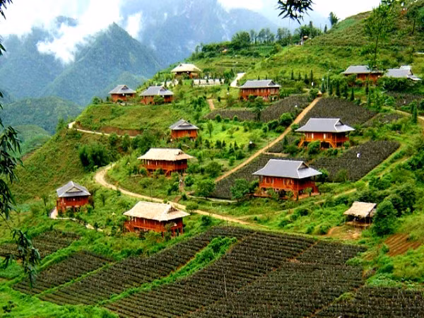Tới Sa Pa dịp này, du khách sẽ được tham dự nhiều hoạt động độc đáo, hấp dẫn nằm trong khuôn khổ Lễ hội trên mây Sa Pa năm 2012 tổ chức từ ngày 27/4 đến ngày 4/5/2012 như: Hội chợ ẩm thực vùng cao Lào Cai, ngày hội văn hóa dân gian, ngày hội văn hóa bản Mông Cát Cát, tái hiện “Đêm chợ tình Sa Pa” tại khu phố cổ thị trấn Sa Pa… Tới Sa Pa dịp này, du khách sẽ được tham dự nhiều hoạt động độc đáo, hấp dẫn nằm trong khuôn khổ Lễ hội trên mây Sa Pa năm 2012 tổ chức từ ngày 27/4 đến ngày 4/5/2012 như: Hội chợ ẩm thực vùng cao Lào Cai, ngày hội văn hóa dân gian, ngày hội văn hóa bản Mông Cát Cát, tái hiện “Đêm chợ tình Sa Pa” tại khu phố cổ thị trấn Sa Pa…