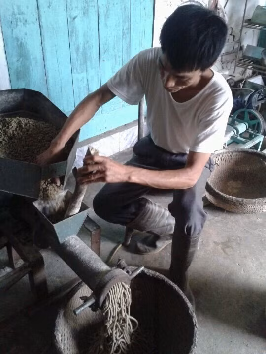 Nuôi lợn sạch bằng thảo dược kiếm bạc tỷ hàng năm ảnh 3