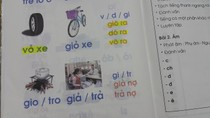 Cho con trẻ học sách của Giáo sư Hồ Ngọc Đại, tương lai của chúng ta sẽ ra sao?