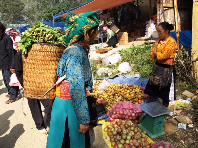 Rau, củ qua do bà con trồng