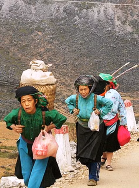 Địu hàng về nhà...