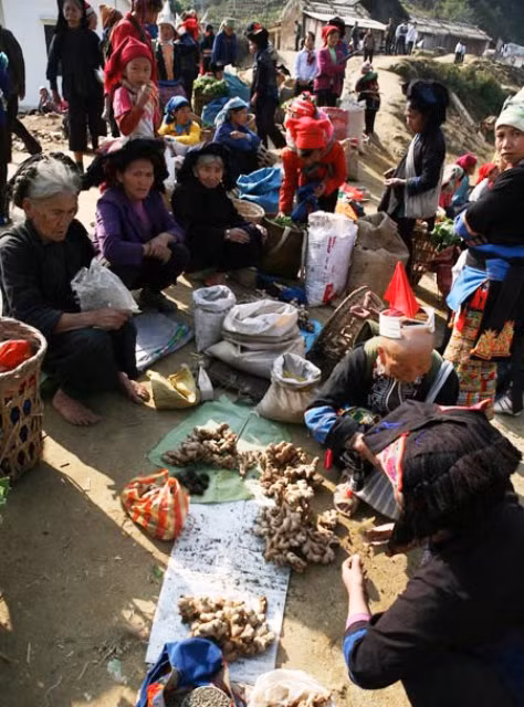 Gừng tươi của người dân tộc