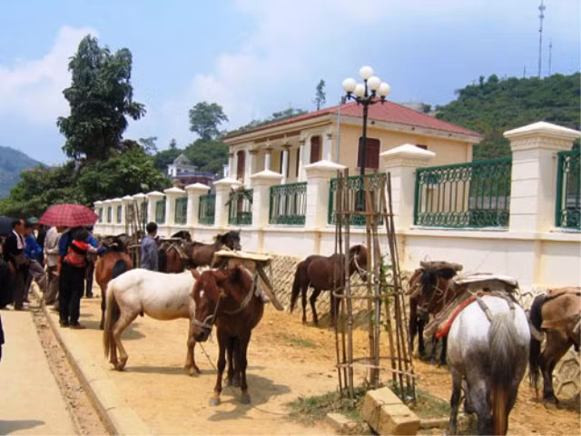 Bắc Hà là nơi duy nhất ở Lào Cai có chợ ngựa