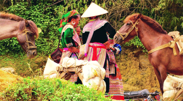 Một số người khác buộc ngựa ở một nơi râm mát để đi mua sắm, trao đổi hàng hóa Một số người khác buộc ngựa ở một nơi râm mát để đi mua sắm, trao đổi hàng hóa