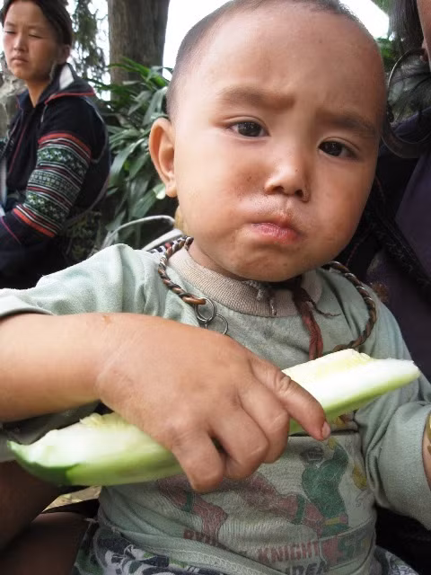 Những em bé vẫn phải ăn dưa gang mà bố mẹ trồng được thay cơm