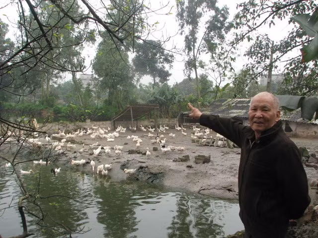 Ông Lê Hồng Ngọc bức xúc: "Sau 30 năm đổ mồ hôi nước mắt cải tạo đất hoang, giờ đây số tiền đền bù hơn 2 triệu đồng cho 5.022 m2 chỉ bằng tiền bán trứng của đàn vịt đẻ sau một đêm"