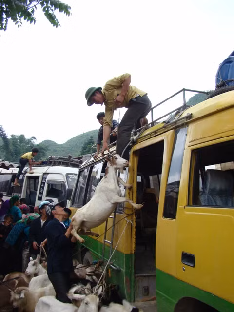 Sau đó chất lên xe hàng Sau đó chất lên xe hàng