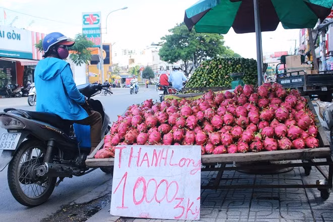 Có thời điểm Thanh long bán tràn lề đường với giá quá rẻ. Ảnh: Phạm Oanh. Có thời điểm Thanh long bán tràn lề đường với giá quá rẻ. Ảnh: Phạm Oanh.