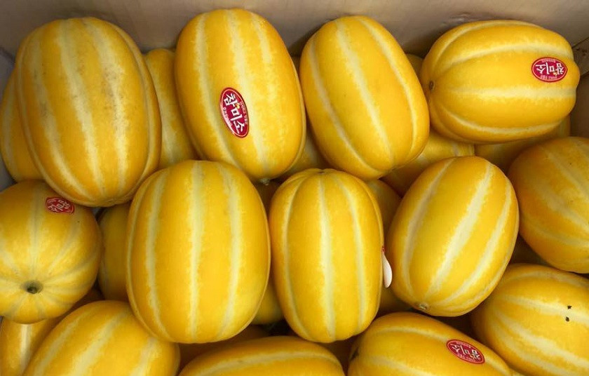 Dưa lê vàng Hàn Quốc có giá 280 ngàn đồng/kg (3 quả). Ảnh: Minh Tâm