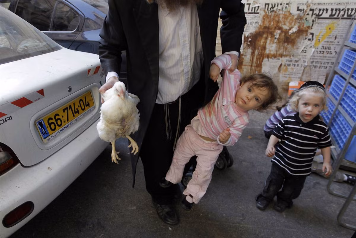 Cảnh một người đàn ông Do Thái một tay xách con gái, một tay xách gà ở Jerusalem. Cảnh một người đàn ông Do Thái một tay xách con gái, một tay xách gà ở Jerusalem.