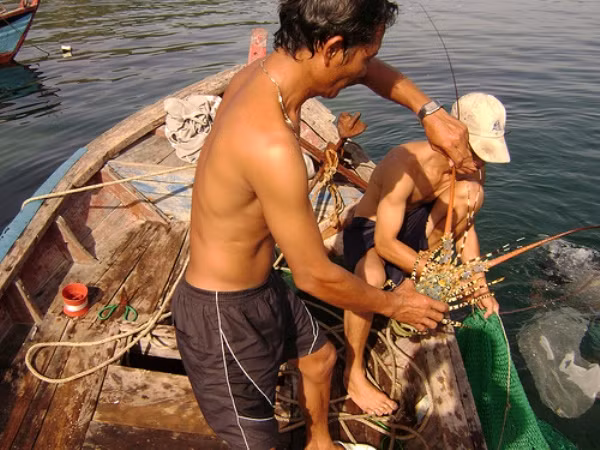 Thịt tôm hùm ngon nên chế biến món ăn kiểu gì cũng rất tuyệt. Loại tôm hùm bông xanh ở Bình Ba nếu đem nấu cháo sẽ có hương vị ngon đặc biệt.
