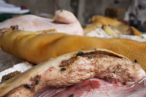 Bị bắt giữ hôm 20/12, những miếng thịt đã có biểu hiện bị phân hủy. Ruồi nhặng bâu kín những miếng thịt được coi là "đặc sản". Bị bắt giữ hôm 20/12, những miếng thịt đã có biểu hiện bị phân hủy. Ruồi nhặng bâu kín những miếng thịt được coi là "đặc sản".
