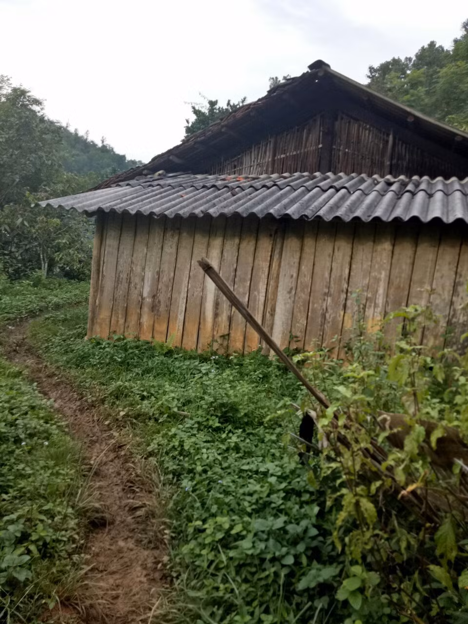 Cư xá trọ học nằm ngay giữa lòng núi.