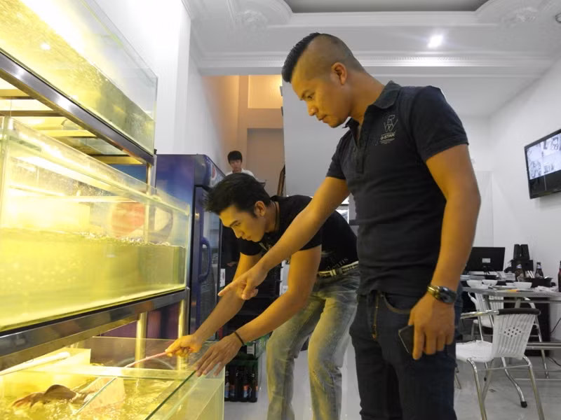 Một vị khách đang chọn cá trong hồ. Một vị khách đang chọn cá trong hồ.