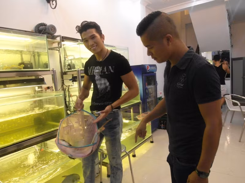 Một chú cá Bớt được vớt lên. Một chú cá Bớt được vớt lên.