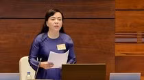 Bộ trưởng Bộ Y tế Nguyễn Thị Kim Tiến. (Ảnh: VGP/Nhật Bắc)