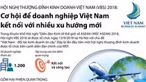 Chiều nay, khai mạc Hội nghị Thượng đỉnh Kinh doanh Việt Nam 2018 ảnh 1